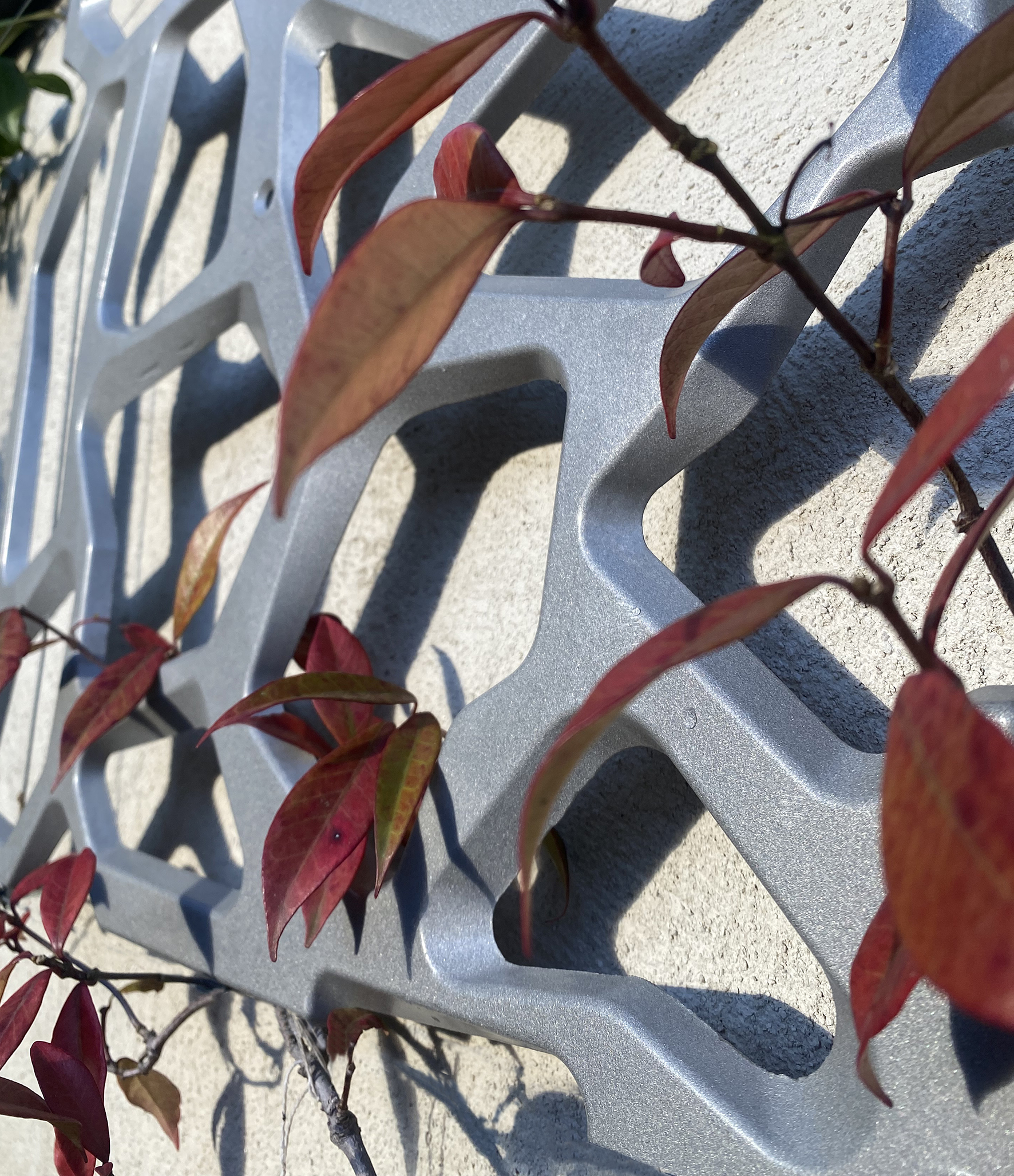 Grille végétalisée